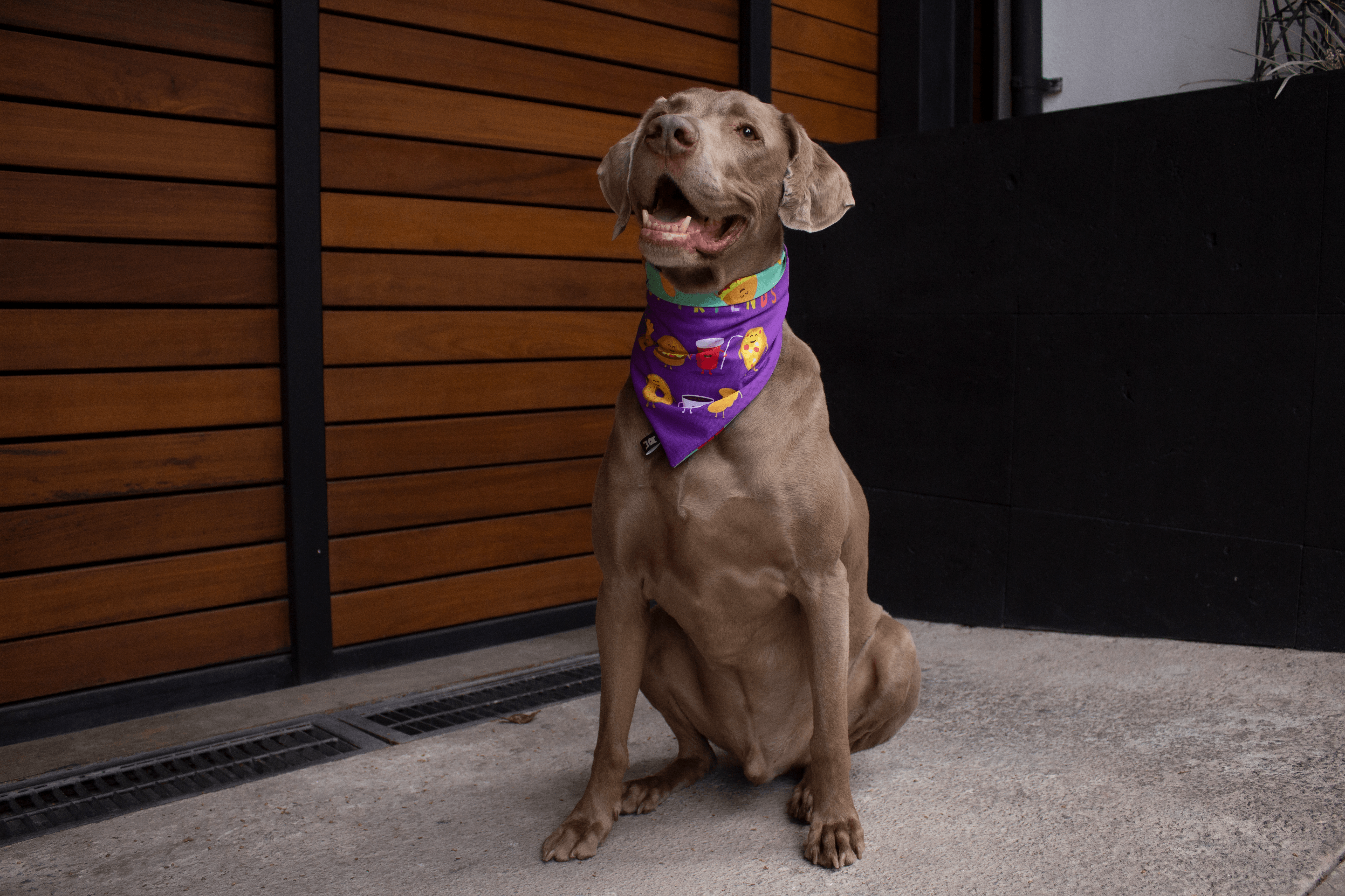 Bandana-Pawko-Foodies-Lifestyle-1