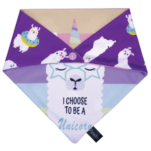 Bandana-Pawko-Llunicorn_1