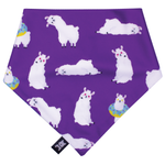 Cargar imagen en el visor de la galería, Bandana-Pawko-Llunicorn_2
