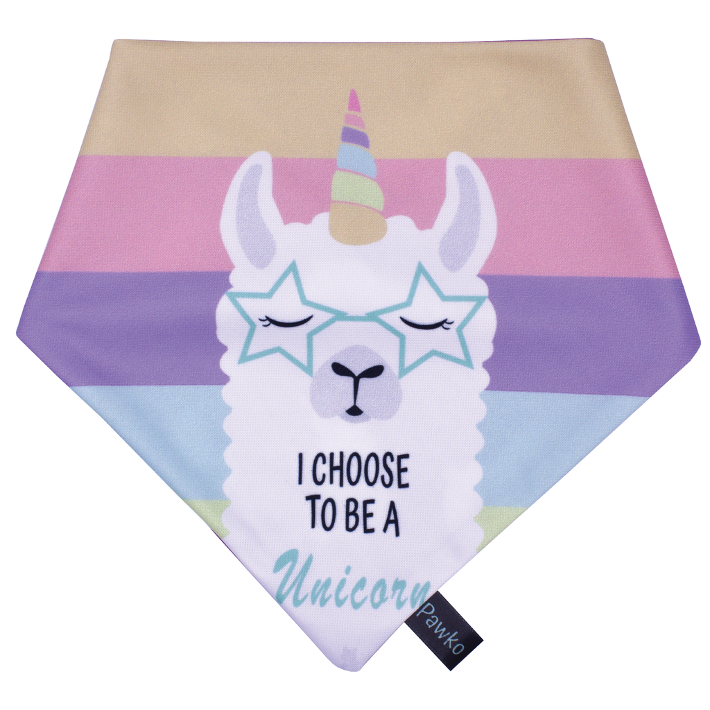 Bandana-Pawko-Llunicorn_4