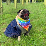 Cargar imagen en el visor de la galería, Bandana &quot;Rainbow&quot;
