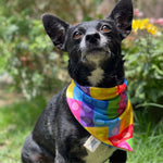 Cargar imagen en el visor de la galería, Bandana &quot;Colorful&quot;
