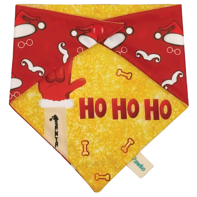 Bandana "Santa Rocker"