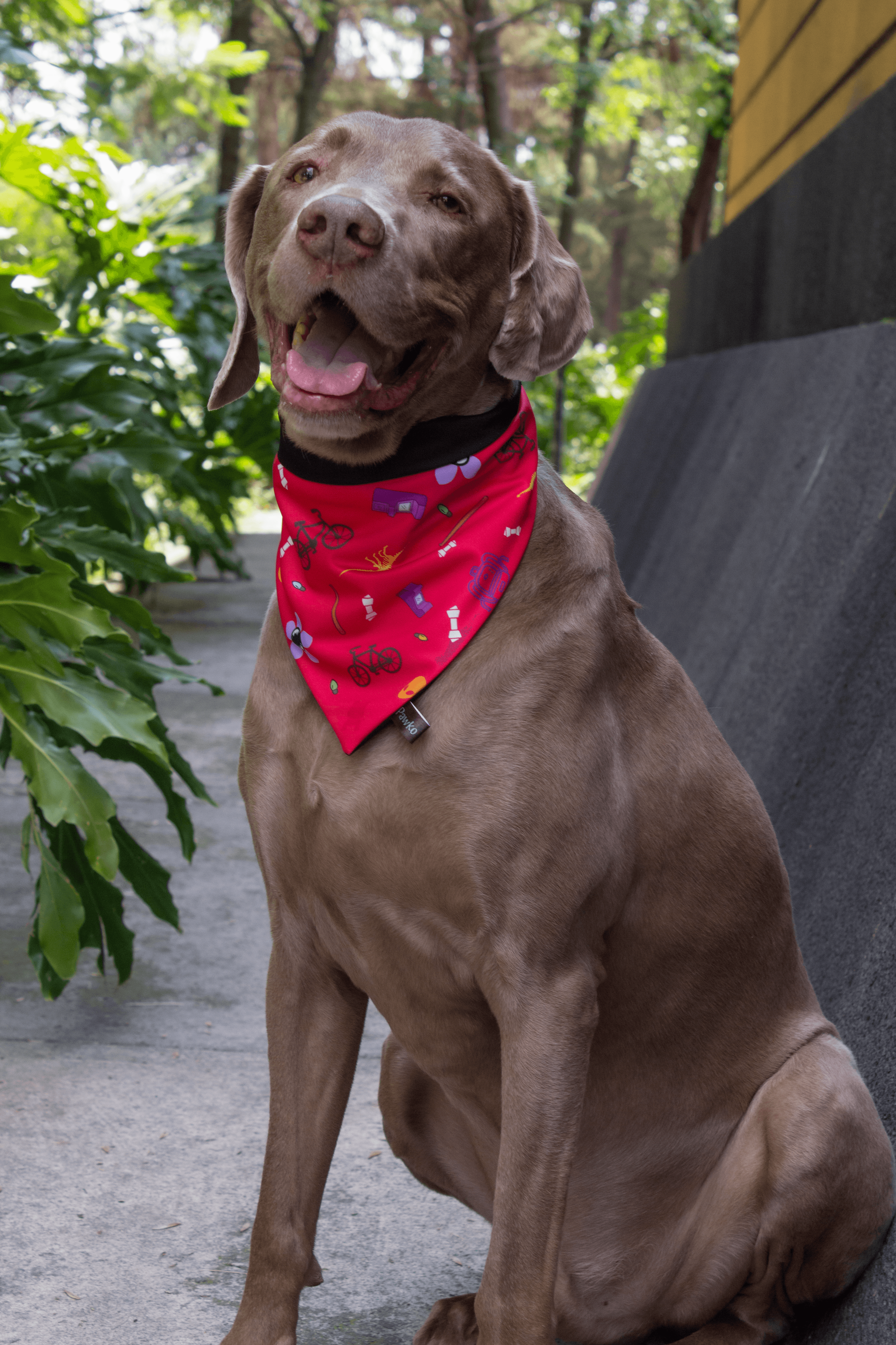 Bandana "Weirdy"